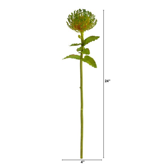 24 Pincushion Flower - SKU #2360 - 4